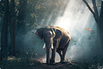 Madhuri Moola Madhuri Moola