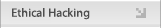 Ethical Hacking
