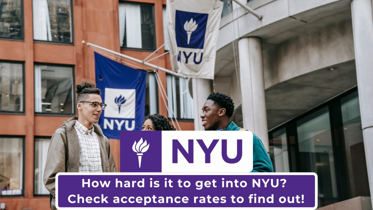 NYU Acceptance Rate of the 2029 Class: How Hard Is It to Get Into NYU?