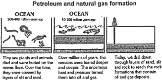 Flow Chart Of Coal Formation