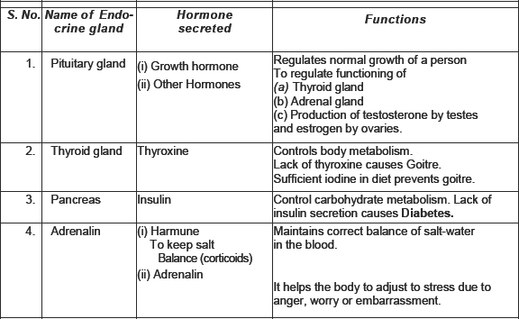 Glands And Their Hormones Chart