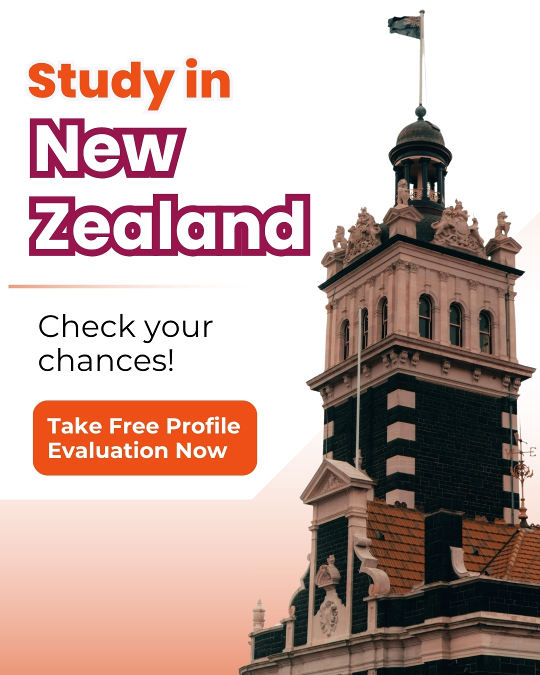 free profile evaluation for New Zealand