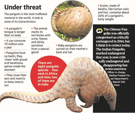 List of important species List of important species